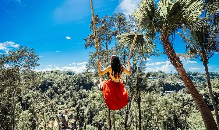 Real Bali Swing & Ubud Private Group Tour – Full Day