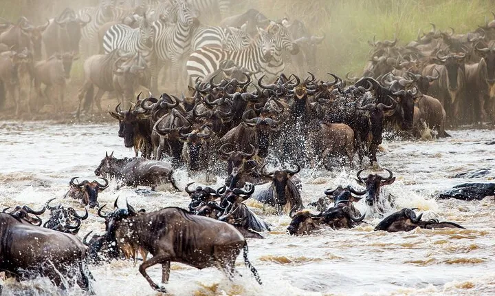 From Plains to Crater: 3-Day Midrange Safari in Northern Tanzania