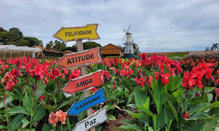 Holambra - The City of Flowers