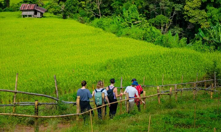Full Day Doi Inthanon and Pha Dok Siew Trek from Chiang Mai