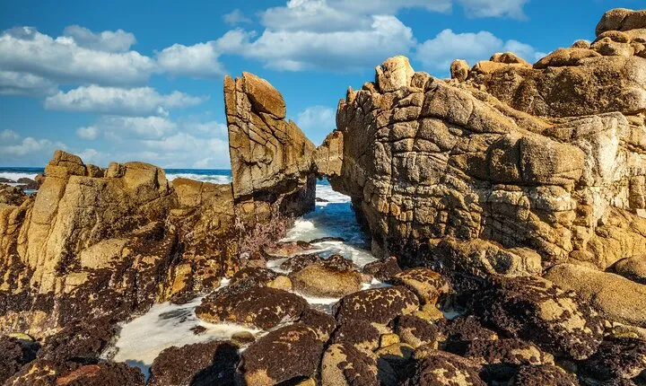 17-Mile Drive Self-Guided Audio Tour from Monterey & Carmel