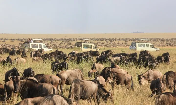 4 Day Tanzania Safari Tarangire Serengeti and Ngorongoro Bliss