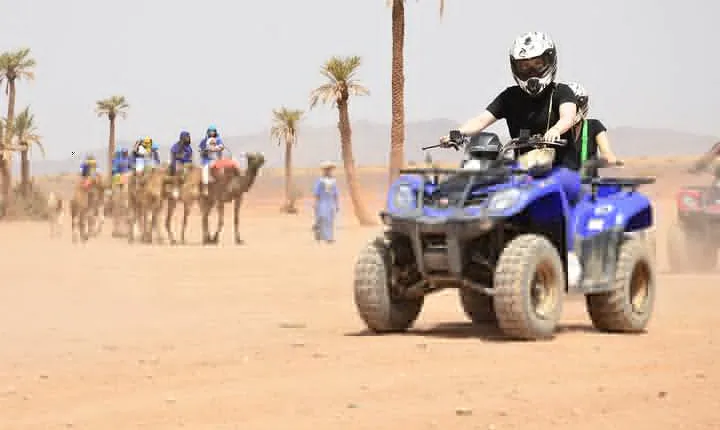 Live an unforgettable adventure, quad ride in the palm grove