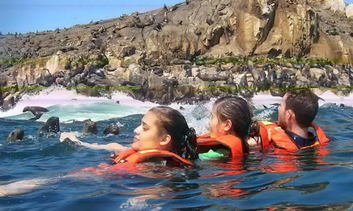 Adventure and adrenaline, swimming with SEA LIONS! & visit the Peruvian islands!