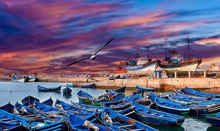 Full Day Tour Essaouira: Explore Mogador & Coast from Marrakech