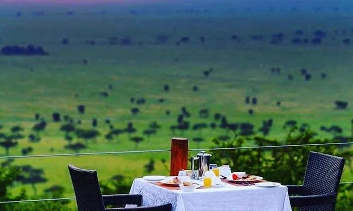 5 Day Wildlife and Gorilla Safari in Africa