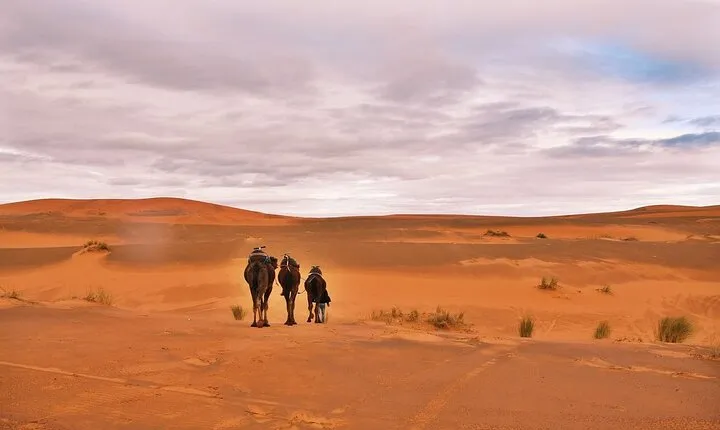 Private Morocco Tour From Casablanca 12 days