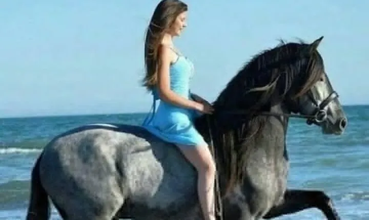 2-Hour Desert & Seaside Horse Ride in Sharm El-Sheikh