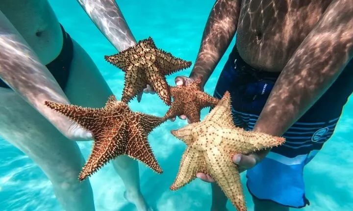 Saona Island Day Tour