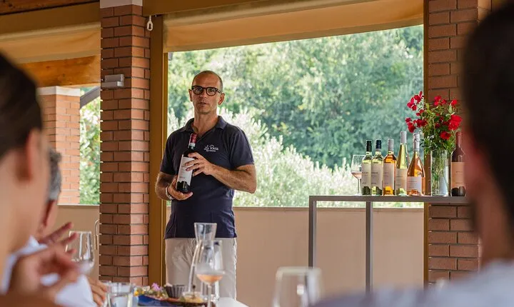 Bardolino: vineyard tour, wine, oil and food tasting