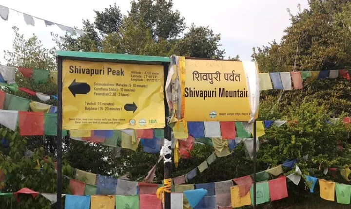 Shivapuri Hill Day Hike: A Scenic Trek Near Kathmandu