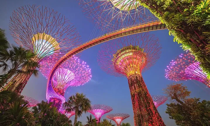 Gardens by the Bay with 2 Flower Dome + Marina Bay Sands Skypark