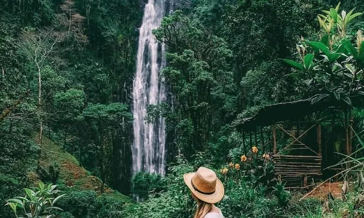 Materuni Waterfalls, coffee tour & Kikuletwa Hot Springs