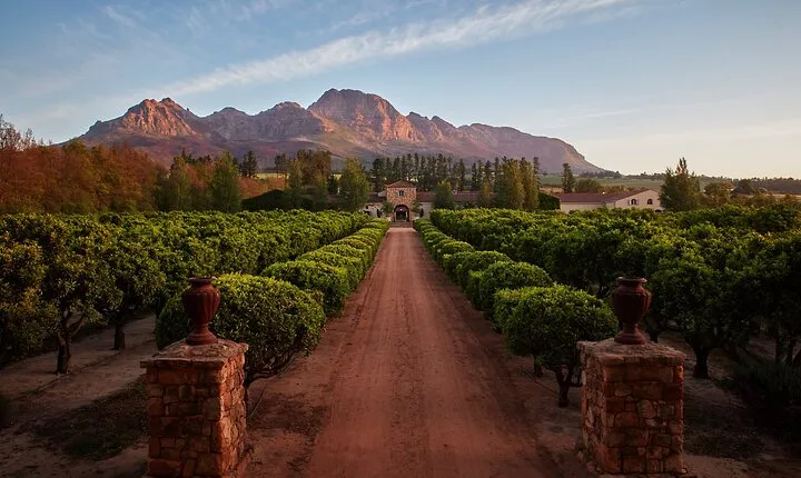 Table Mountain and Waterford Estate Wine Tasting Tour