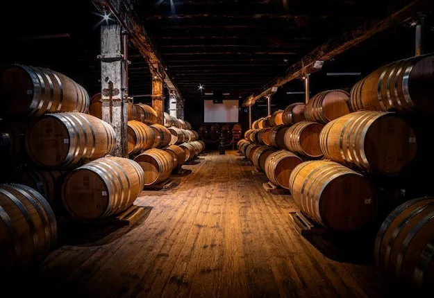 Château de Cognac guided tour with tasting