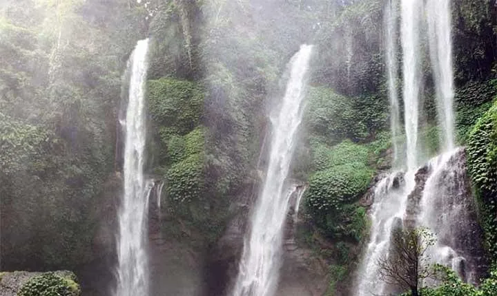 Sekumpul Waterfall Trekking