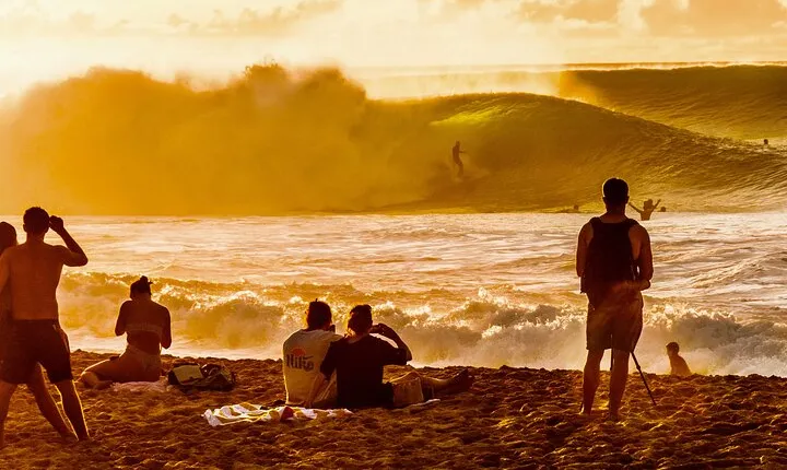 Stunning Views of Oahu! Half-Day to North shore on a Scenic Tour