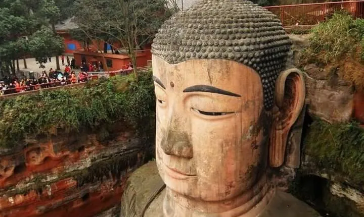 All Inclusive Boutique Tour of Giant Buddha From Chengdu