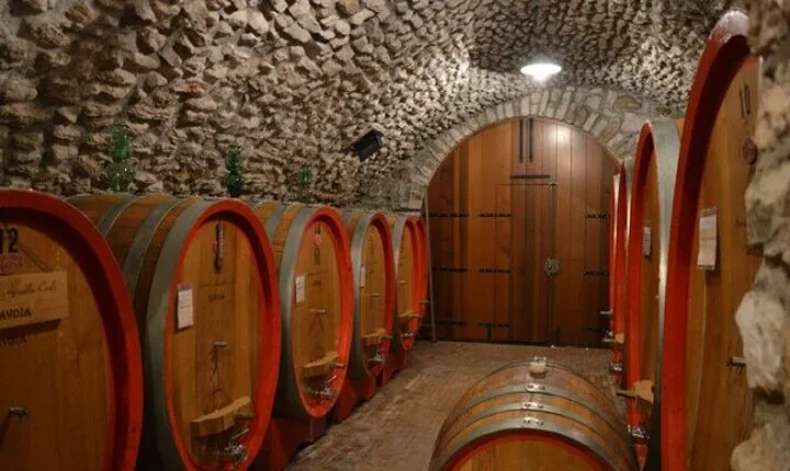 Pagus Wine Tours® - Sirmione by boat and Amarone - Full day tour