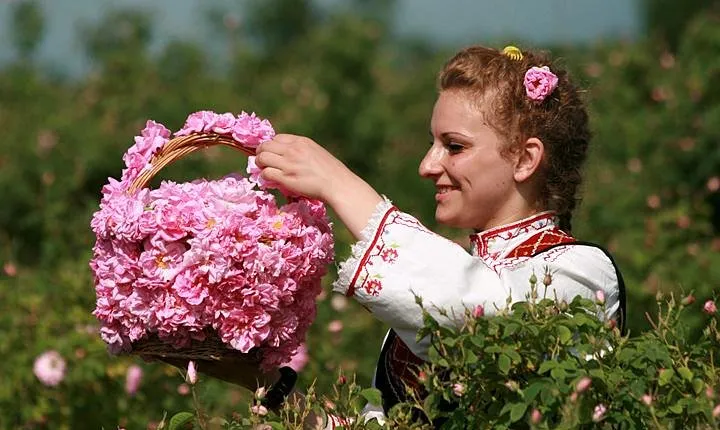 The Valley of the Roses and Koprivshtitsa 12 hrs Full Day Tour from Sofia