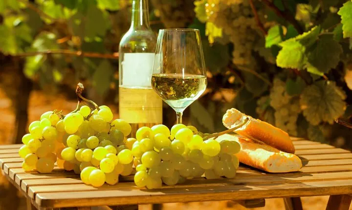 Private Double Wine Tasting Tour in Frascati - Exclusive
