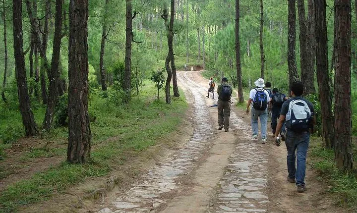 Champa Devi Hill Day Hike