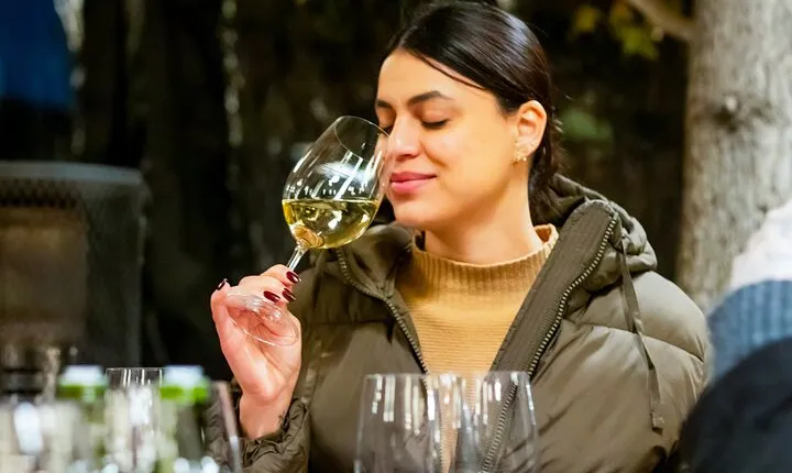 Viña Concha y Toro: Premium Wine Center Tour