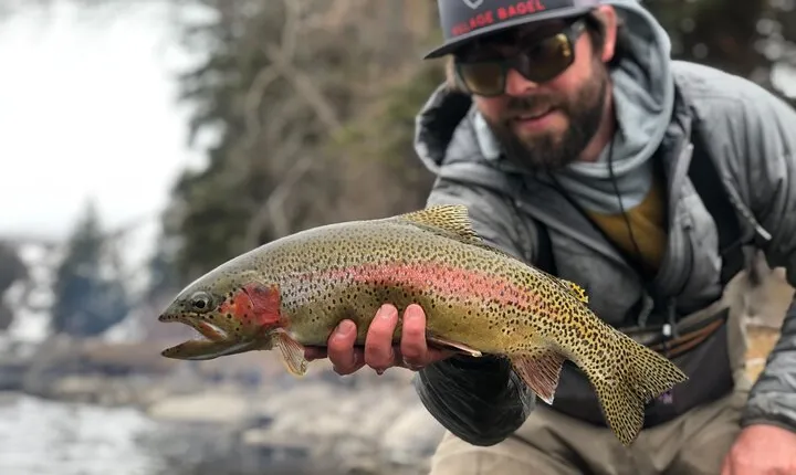 Half Day Walk and Wade Fly Fishing Trip