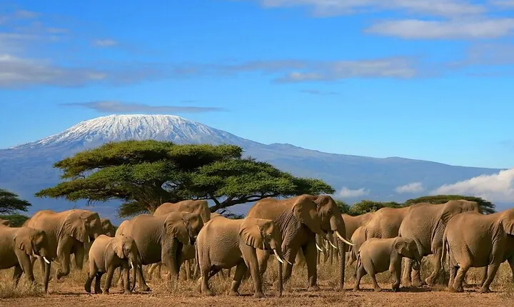 3 Days 2 Nights Amboseli National Park Tour