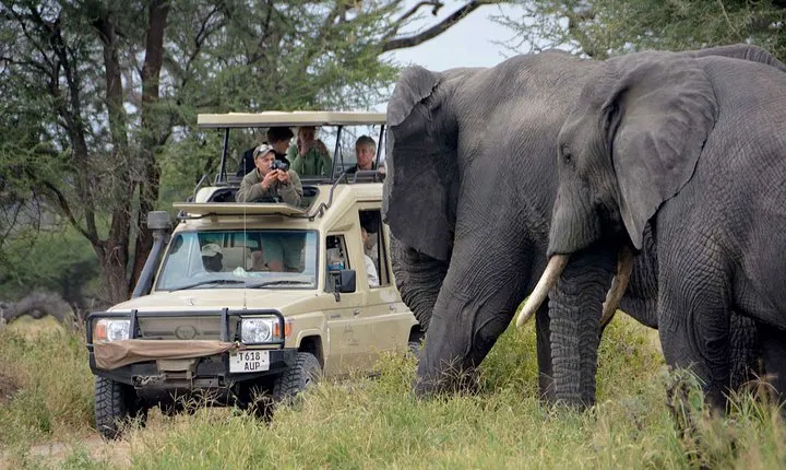 4-Day Tanzania Best Camping Safari: Lake Manyara, Serengeti & Ngorongoro Crater