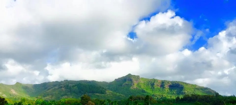 Wailua River kayak tour in Kauai