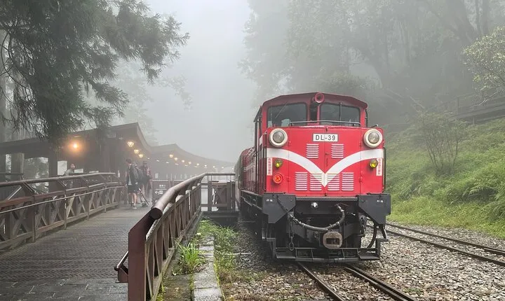 Alishan Day Tour from Chiayi (Incl. Park Entrance)