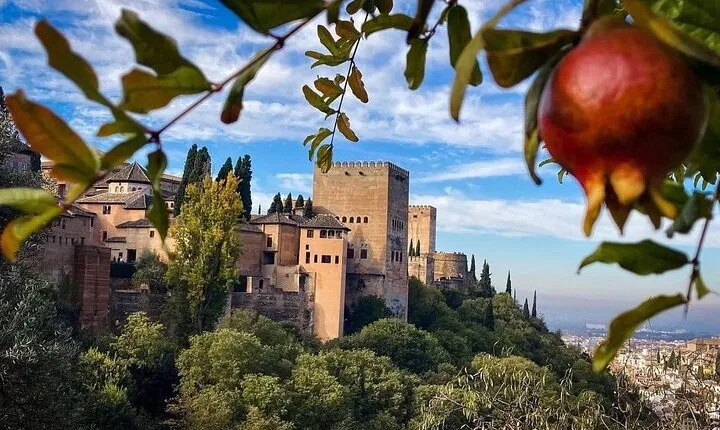 Private Alhambra and Generalife Tour from Malaga