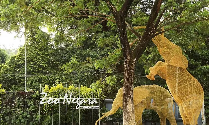 Zoo Negara and Panda Conservation Centre Tickets