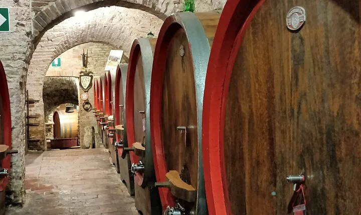 Small Group Tuscany Tour Montepulciano, Montalcino and Cortona