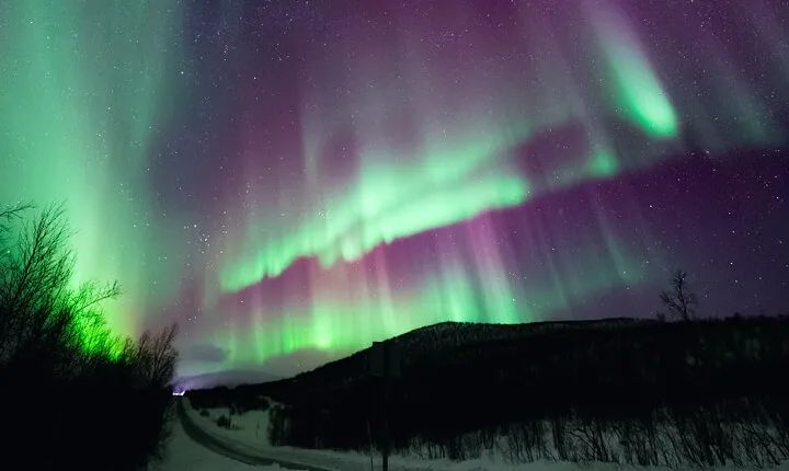 Rovaniemi: Northern Lights Pro Guaranteed - Unlimited (PRIVATE)