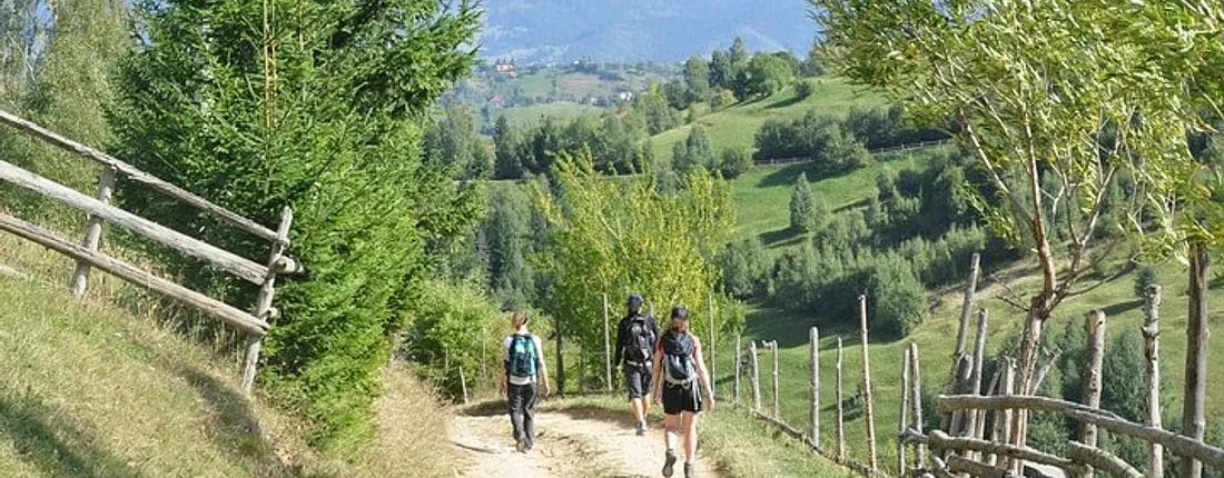 Piatra Craiului National Park private hiking tour from Brasov