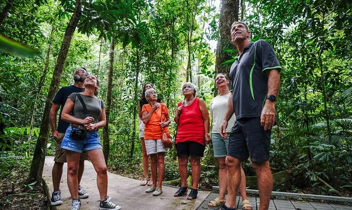 Daintree, Cape Tribulation & River Cruise from Port Douglas