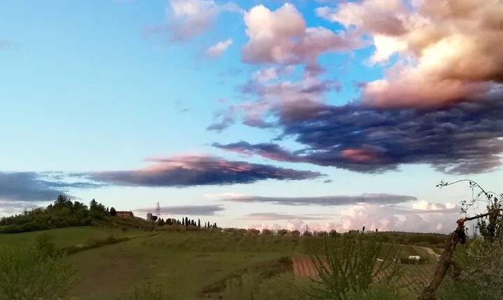 Tuscan Dinner in a Villa in an Ancient Siena Olive Grove