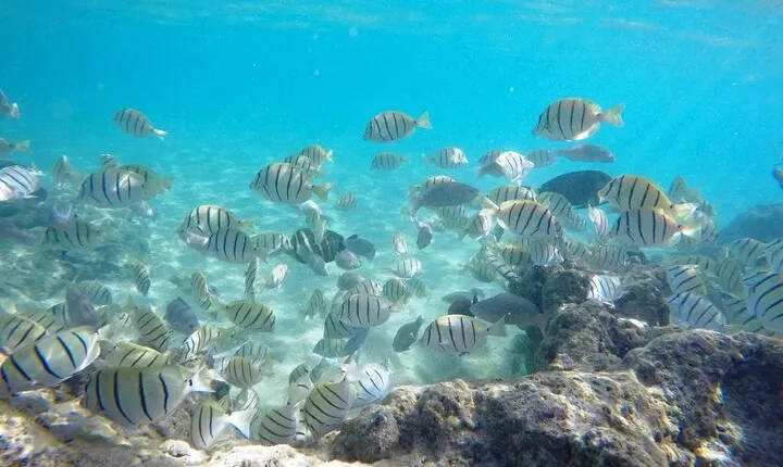 Sian Ka’an Tour of Muyil Ruins and a Swim in Magical Cenote
