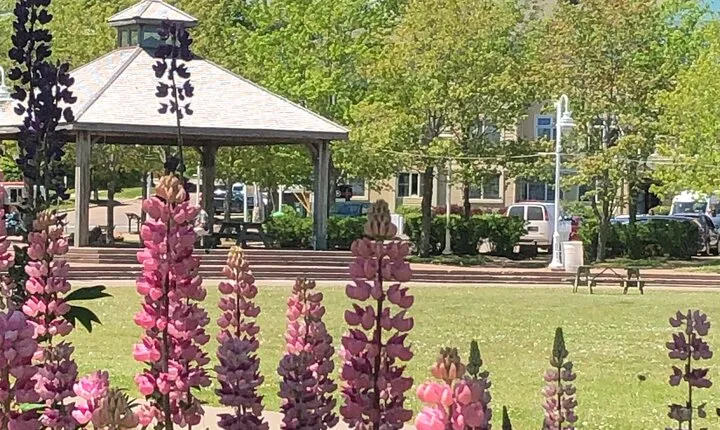 Historic Walking Tour of Charlottetown