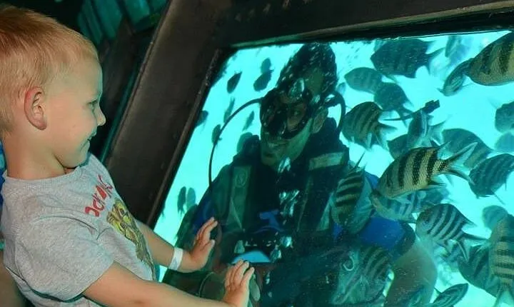 Panorama Semi Submarine Snorkeling Cruise Hurghada