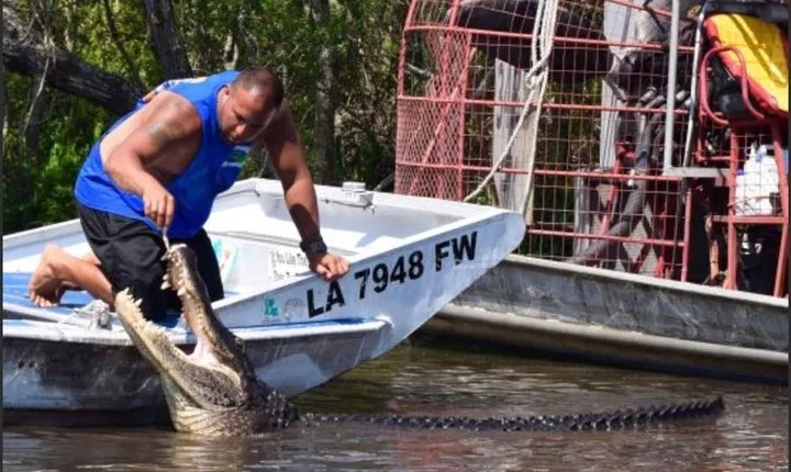Private Bachelor or Bachelorette Airboat Swamp Tour in New Orleans