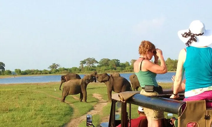 8-Day Private Wildlife Viewing and Chimpanzees Tracking Safari