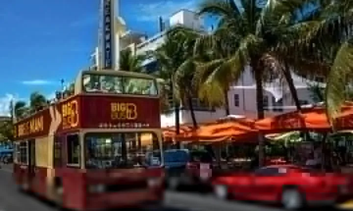 Big Bus Miami: Hop-on Hop-off Sightseeing Tour with Cruise Option