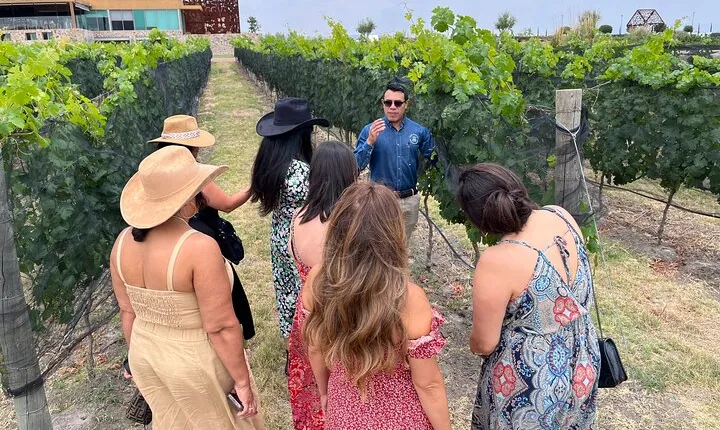 Local Vineyard Tour & Wine Tasting at the Independence Valley