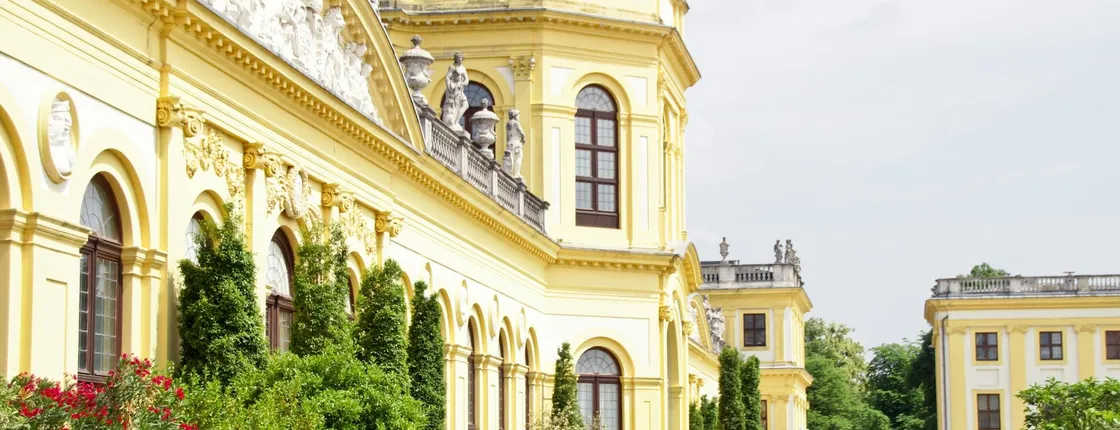 Kassel 2-hour city walking tour with a local