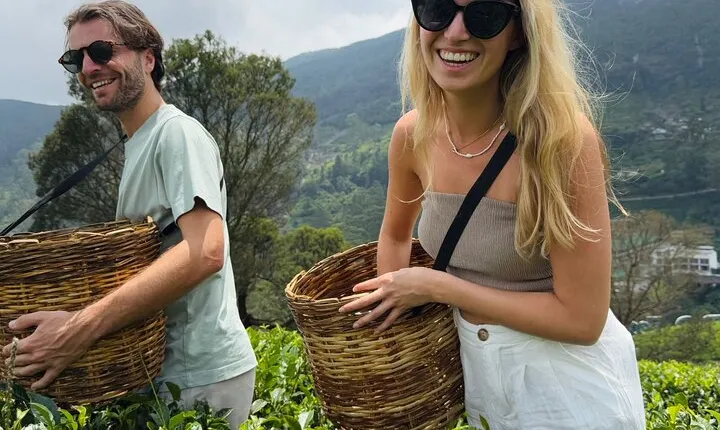 Mr.TukTuk Nuwara Eliya 