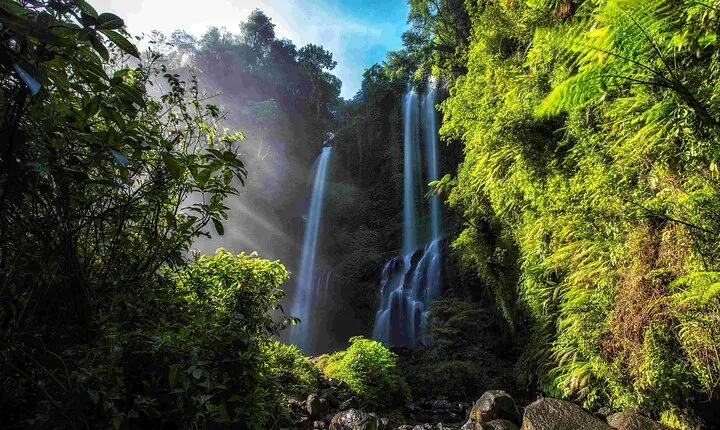 Munduk Sekumpul and Banyuwana Waterfall Trekking Tour