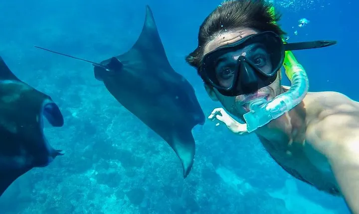 Snorkelling in Nusa Penida - Manta Point